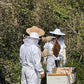 Bee Experience - 22 July