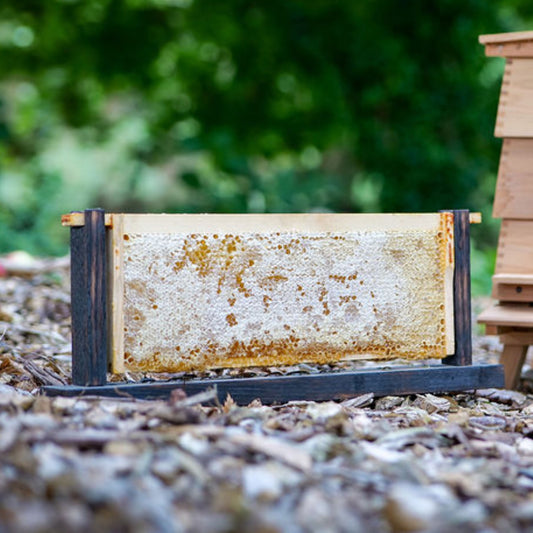 FRAMES OF HONEYCOMB