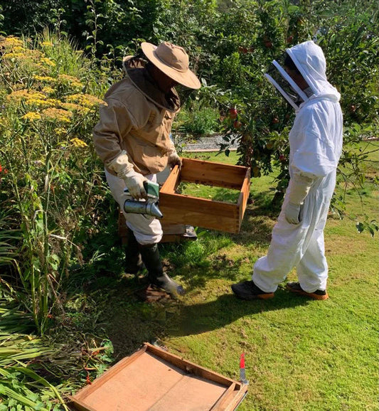Bee Experience - 20 July