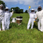 Bee Experience - 23 September