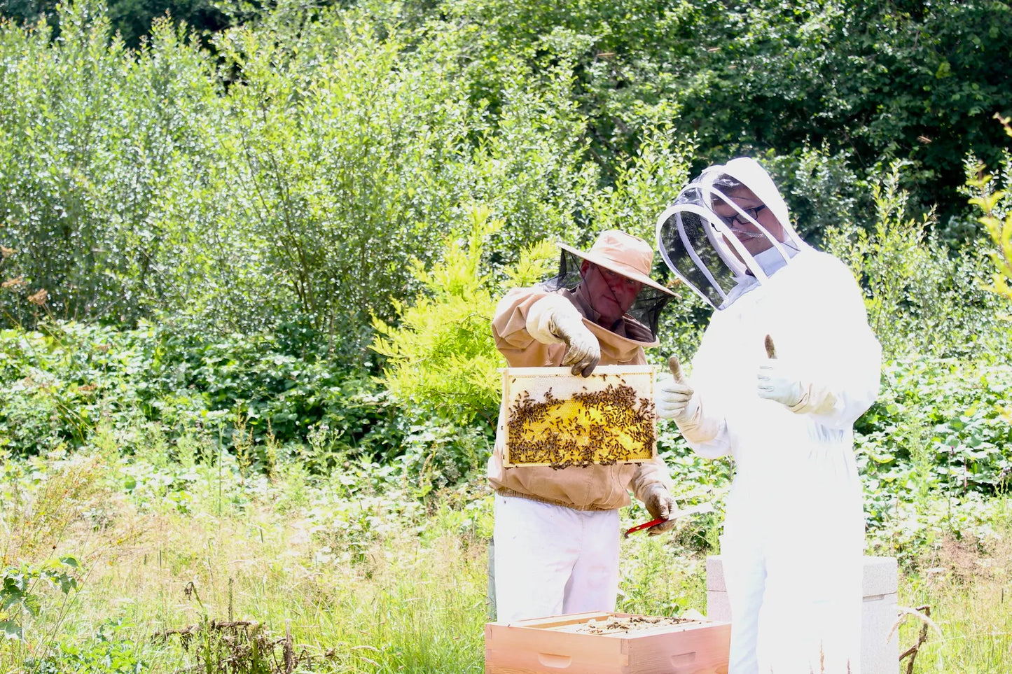 Bee Experience - 26 August